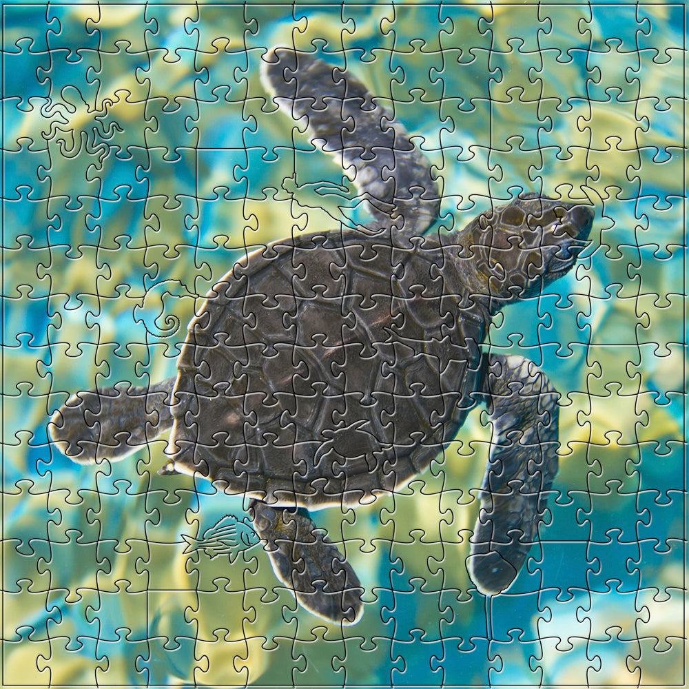 Mosiac Sea Turtle Medium Puzzle