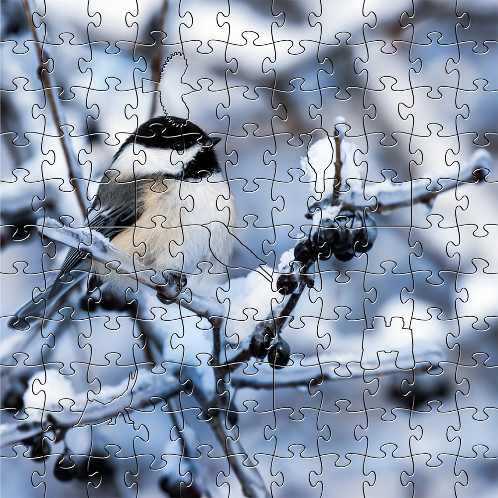 Black Capped Chickadee Medium Puzzle