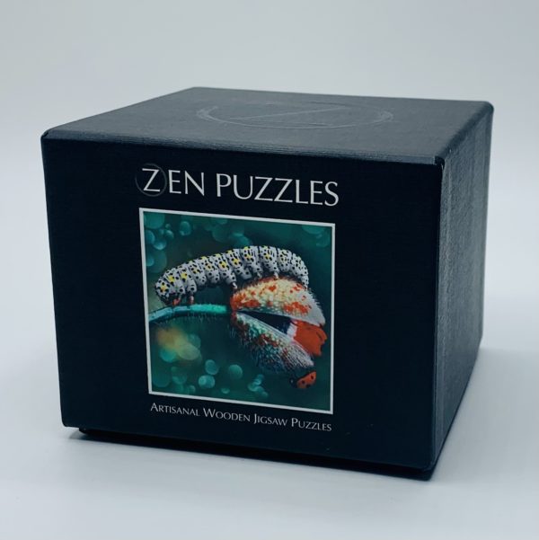 Teaser Inch By Inch  Puzzle