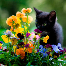 Load image into Gallery viewer, Large Curious Kitty Puzzle