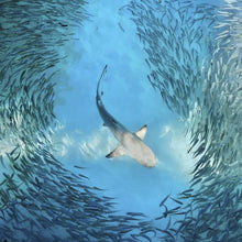 Load image into Gallery viewer, Dangerous Waters Small