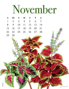 2025 Flowers Calendar 5 X 7