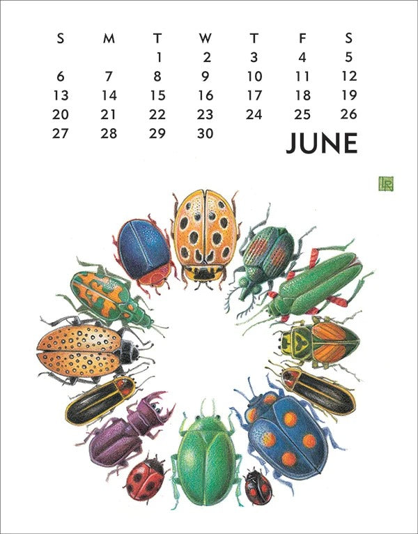 2027 Linnea Designs Poster Calendar 11X14