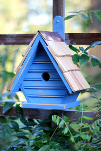 Chick Birdhouse Blueberry