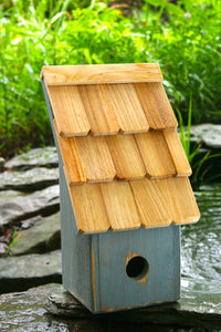 Blueberry Fruit Coop Birdhouse