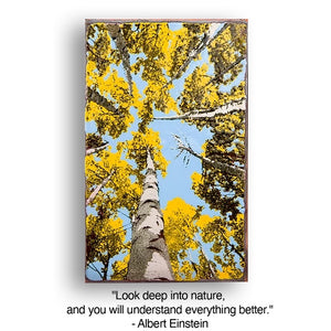 Depth Perception Spiritile