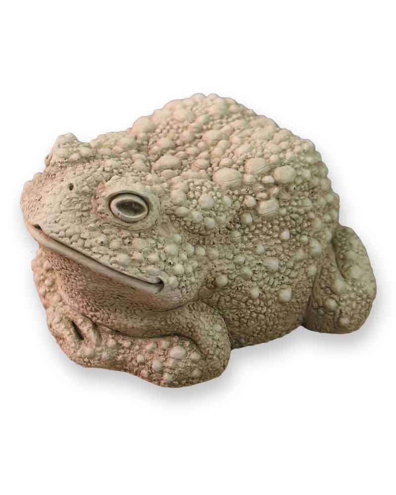 Toad Todd Wartsmith Statue