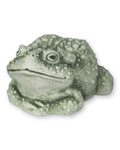Load image into Gallery viewer, Statue - Toad Todd Wartsmith Green