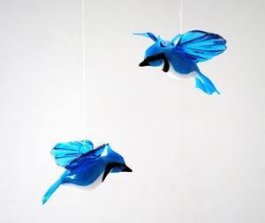 Flying Glass Blue Jay
