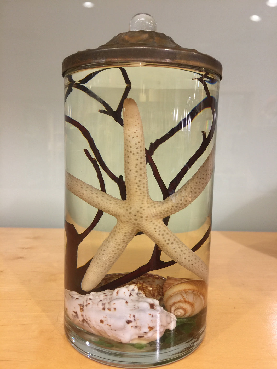 Natural Seashell Oil Candle