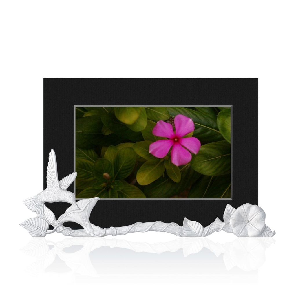 Picture Holder Hummingbird