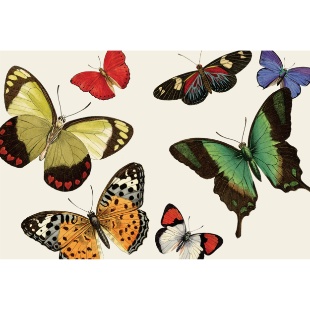 Paper Butterfly Placemants