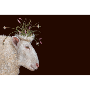 Sheep Paper Placemants