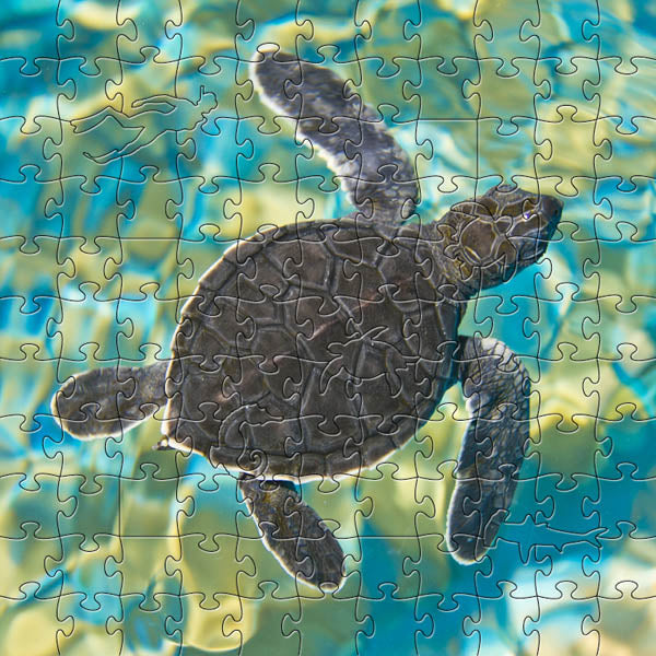 Mosaic Sea Turtle Small Puzzle