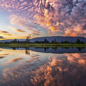 Reflections Large