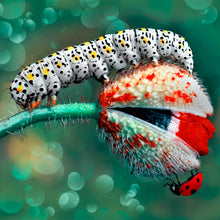 Load image into Gallery viewer, Teaser Inch By Inch  Puzzle