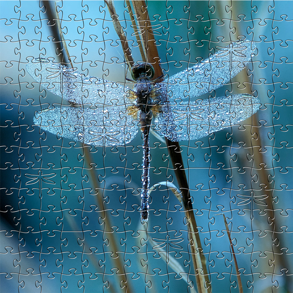 Waiting For The Sun Medium Puzzle