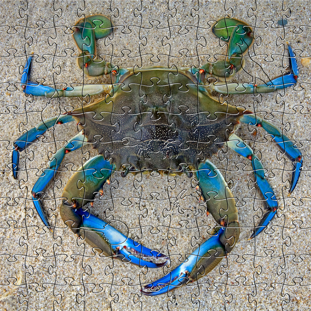 Blue Crab Small Puzzle