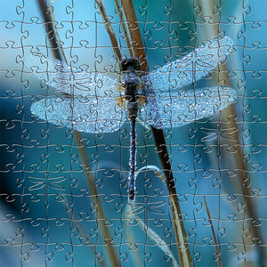 Waiting For the Sun Small Puzzle