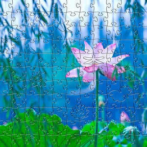 Waterlily Small Puzzle