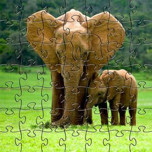 Elephants Teaser Puzzle
