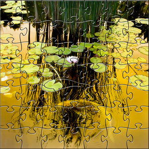 Golden Koi Teaser Puzzle