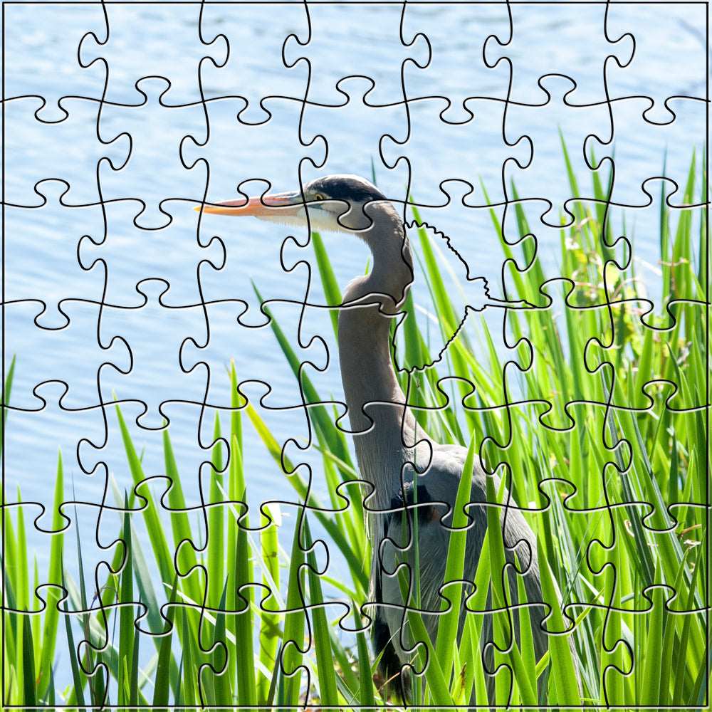 Heron Teaser Puzzle