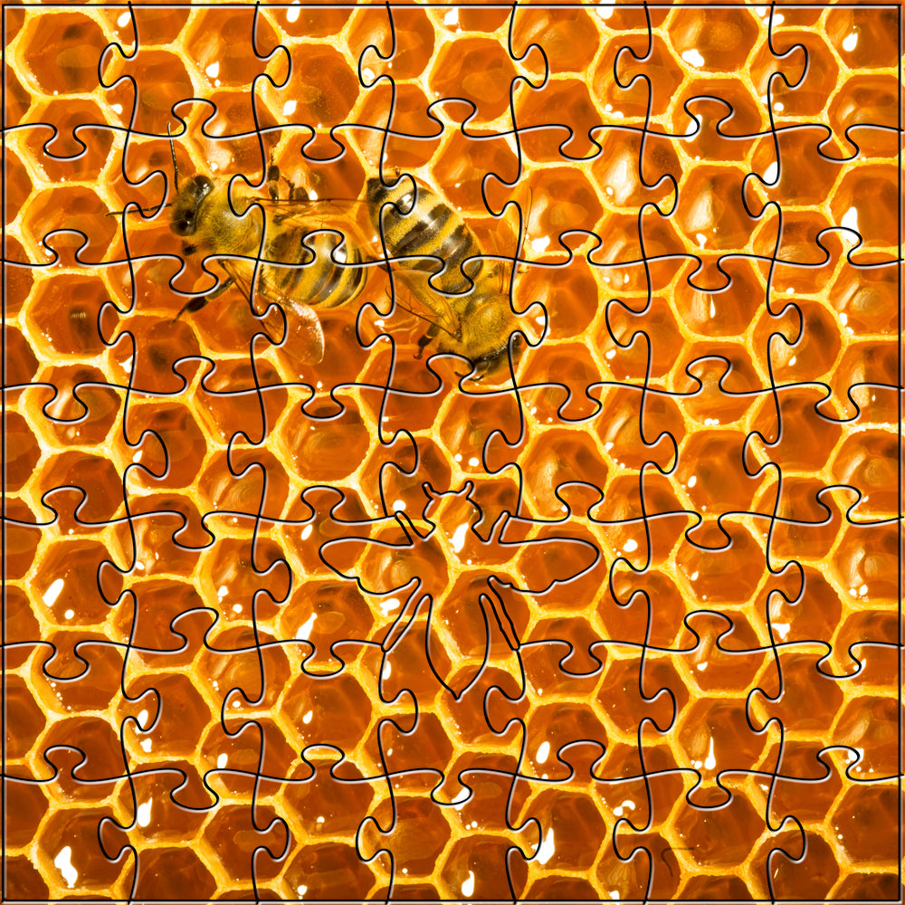 Honeybees Teaser Puzzle