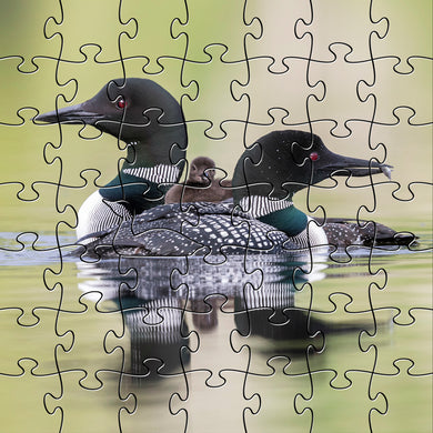Loons Teaser Puzzle