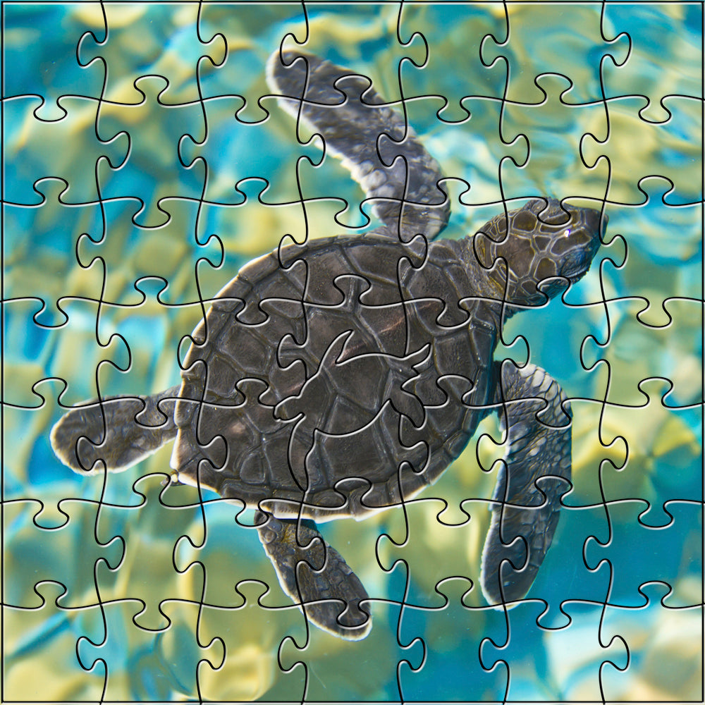 Mosaic Sea Turtle Teaser Puzzle