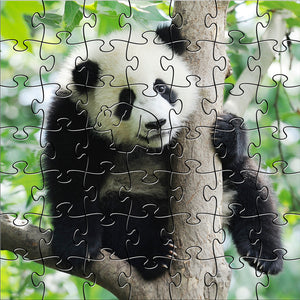 Panda Teaser Puzzle