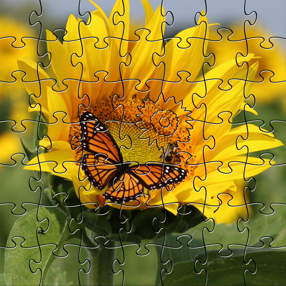 Sunflower Teaser Puzzle