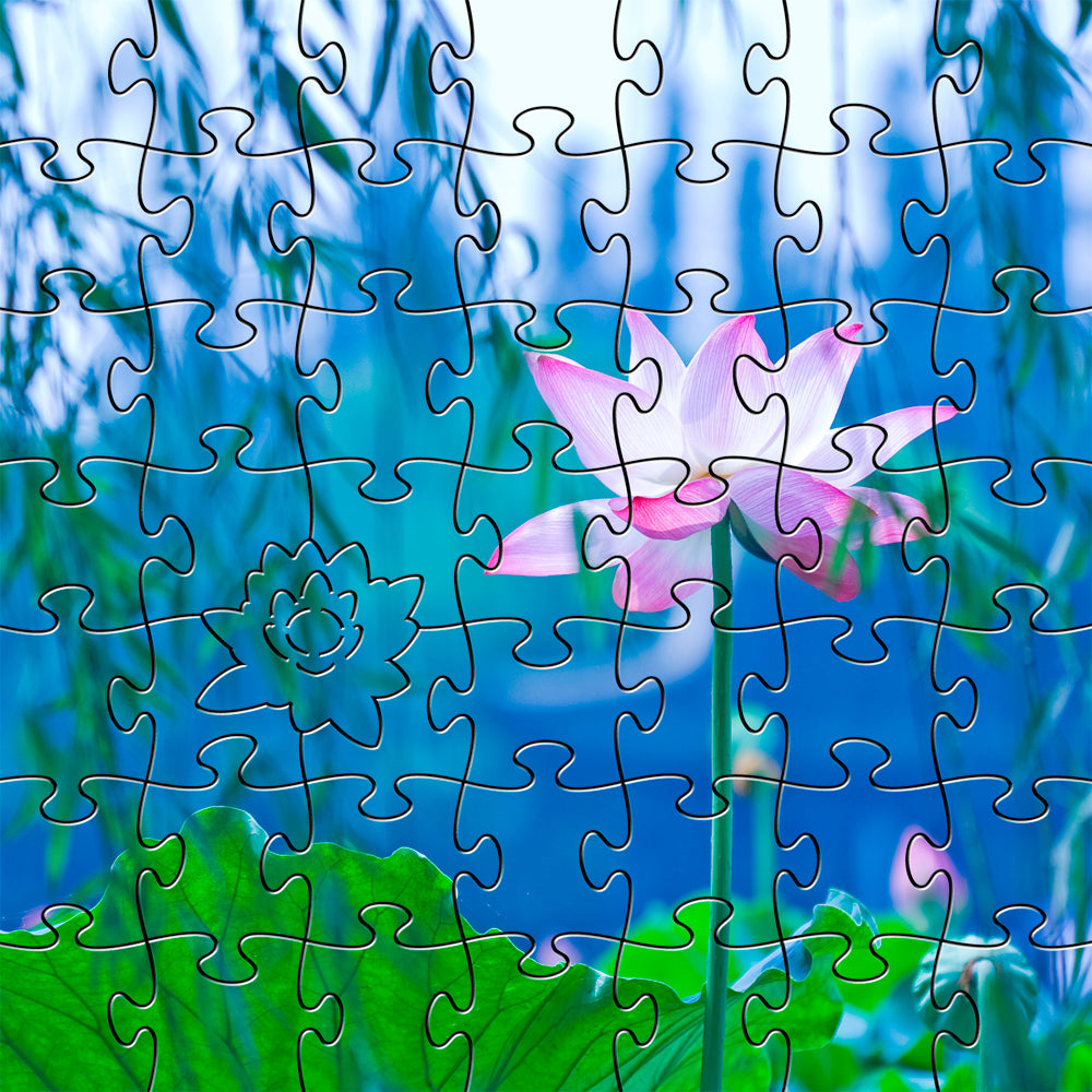 Waterlily Teaser Puzzle