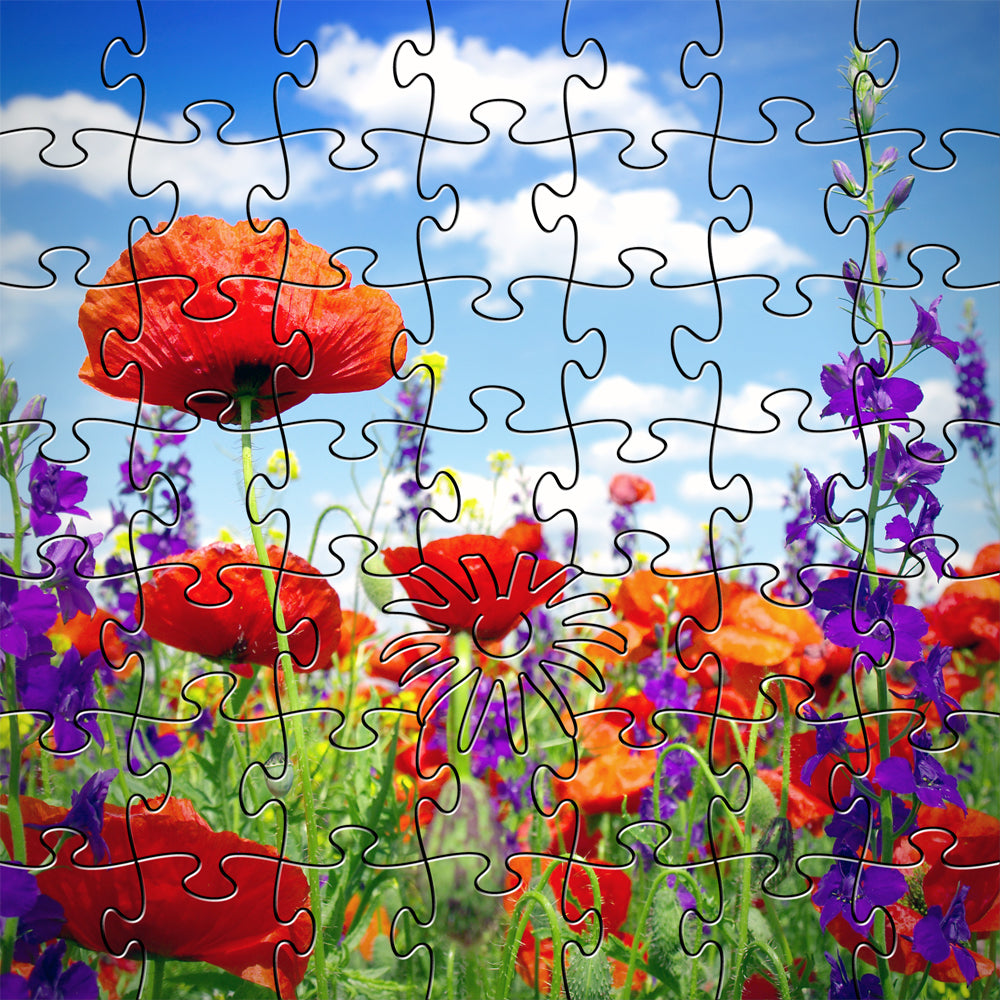 Wildflowers Teasers Puzzle