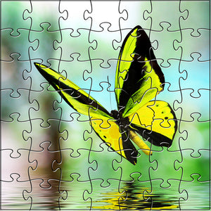 Yellow Butterfly Teaser Puzzle