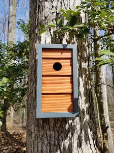 Modern Binary Gray Birdhouse