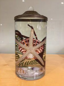 Blush Seashell Cylinder Oil Candle